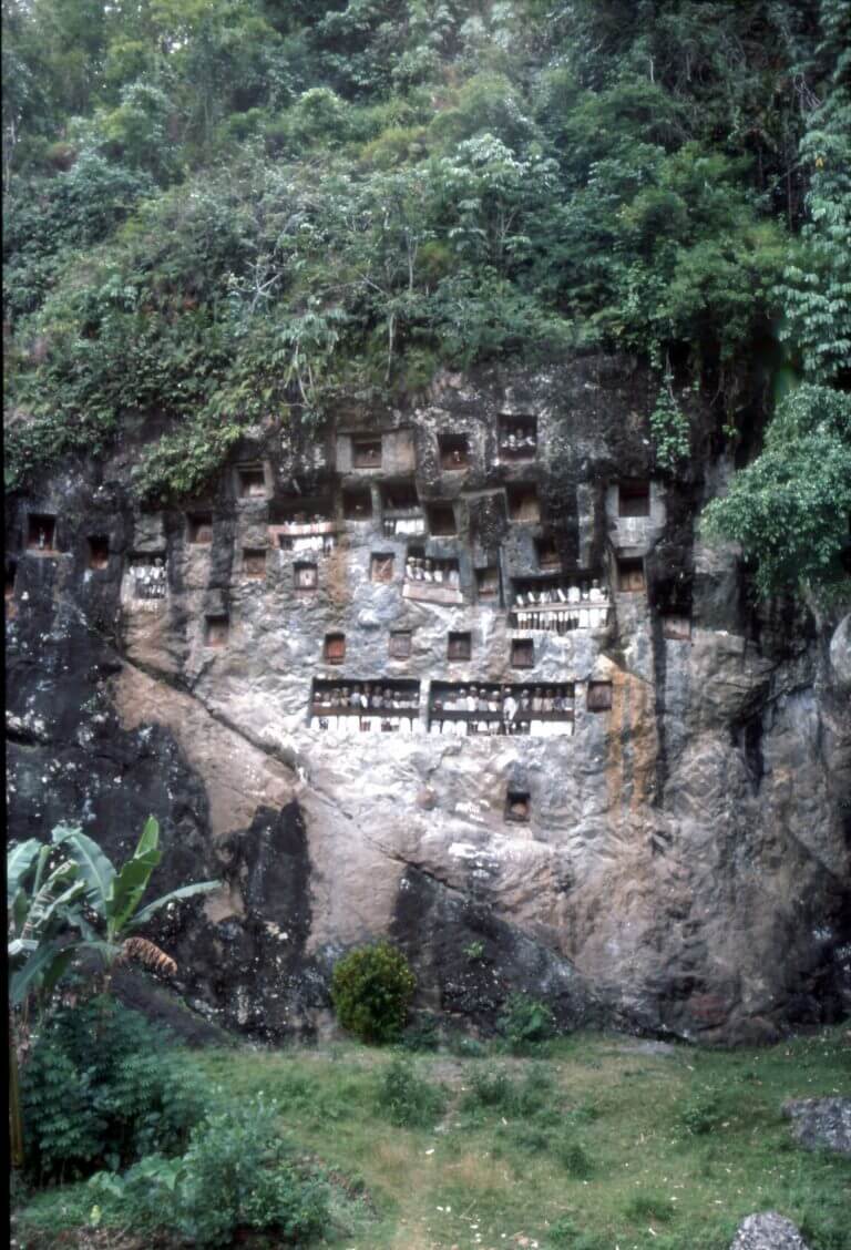 Tana Toraja, région montagneuse du sud de Sulawesi célèbre pour ses extraordinaires rites funéraires