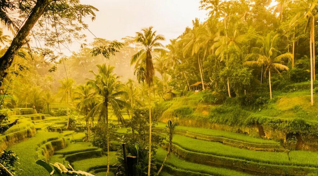 ubud bali indonésie